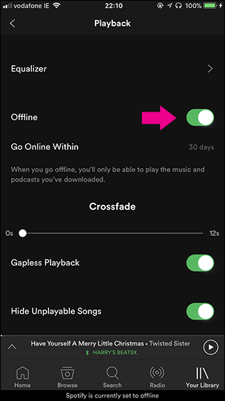Can i download spotify music